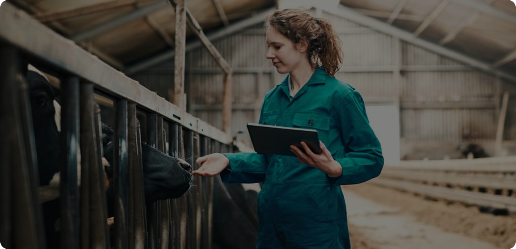 Cattle Eye can reduce your outgoings by up to 10%
