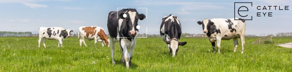 How CattleEye Values Sustainability