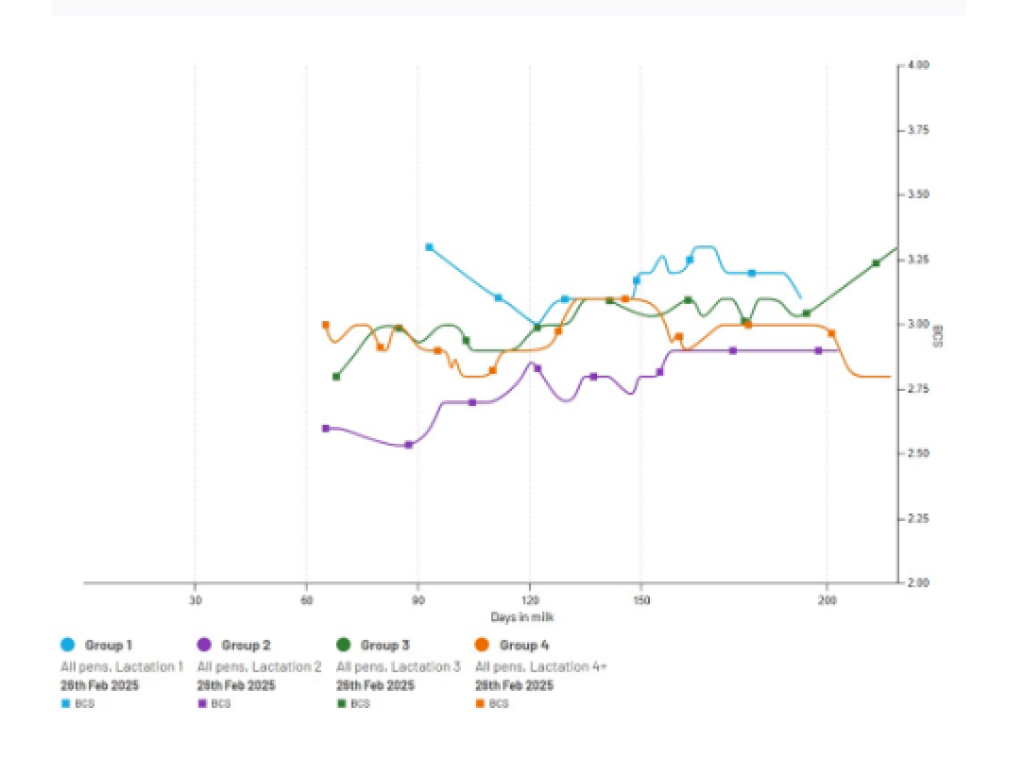 CattleEye’s AI BCS tool highlights fertility and production shortfalls