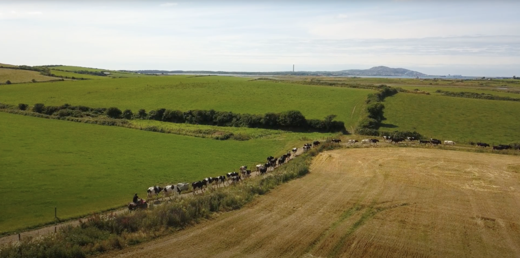 Erw Fawr Farm